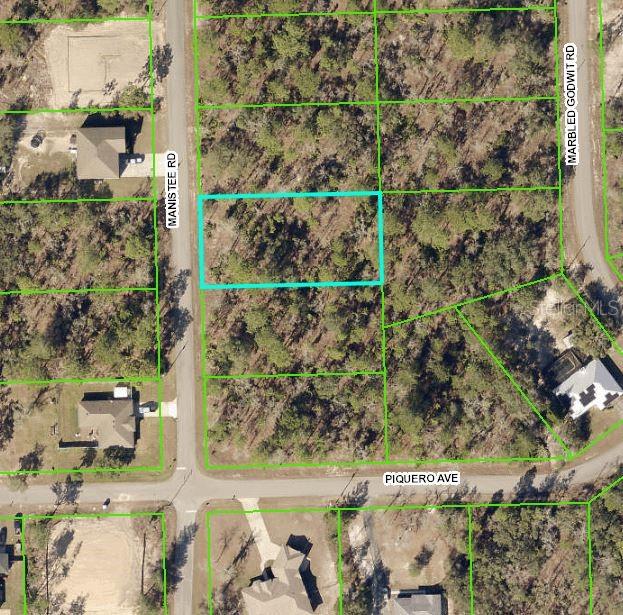 0 Manistee Road Weeki Wachee, FL 34614 - Photo 1 of 1 Gallery Image 1