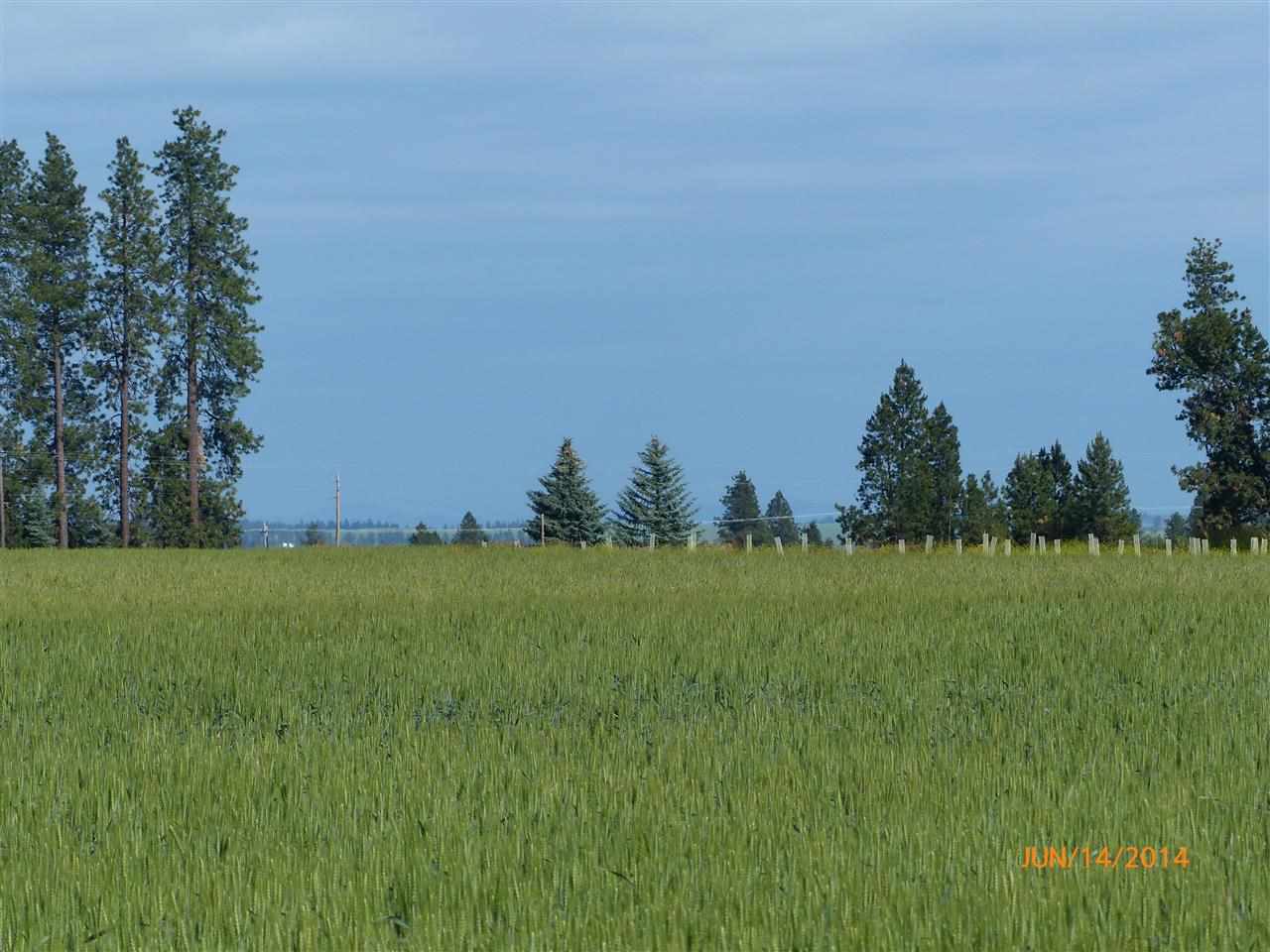 0 East Gibbs Road Spokane, WA 99224 - Photo 3 of 8