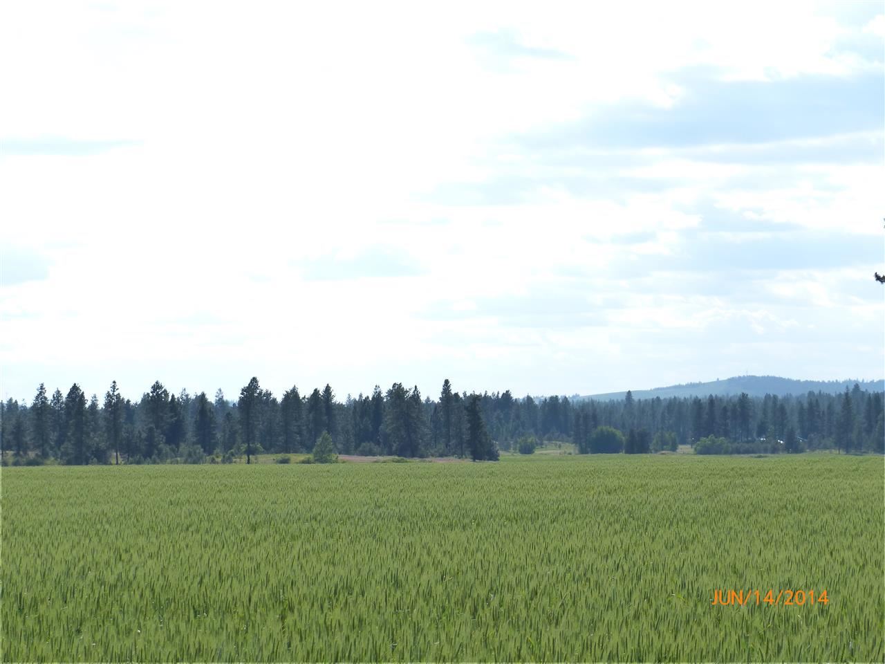 0 East Gibbs Road Spokane, WA 99224 - Photo 4 of 8