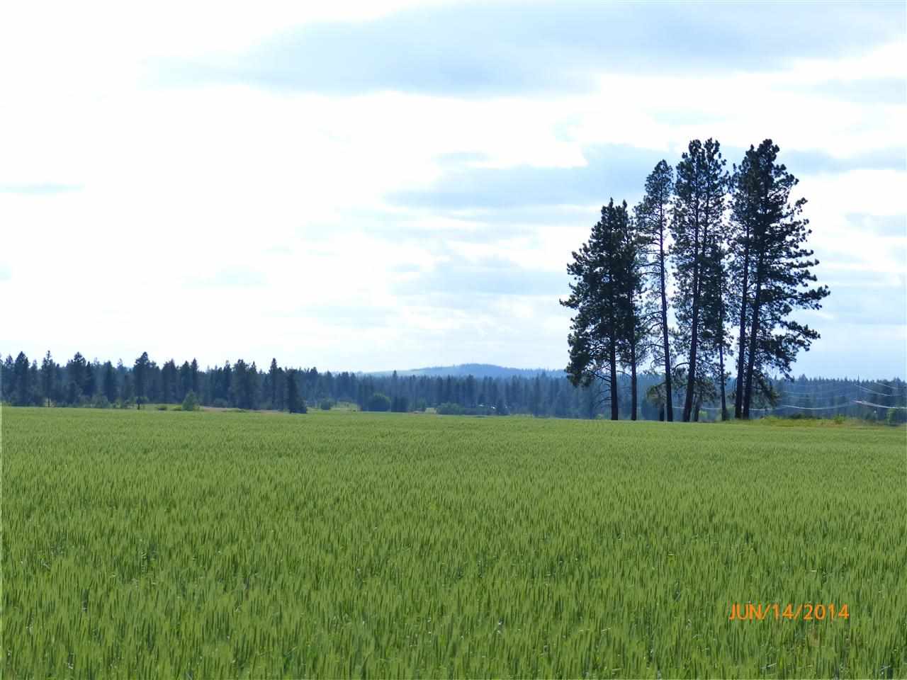 0 East Gibbs Road Spokane, WA 99224 - Photo 5 of 8