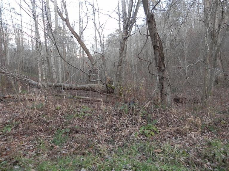 1 Kelly Branch Road Annville, KY 40402 - Photo 2 of 8 Photo 2