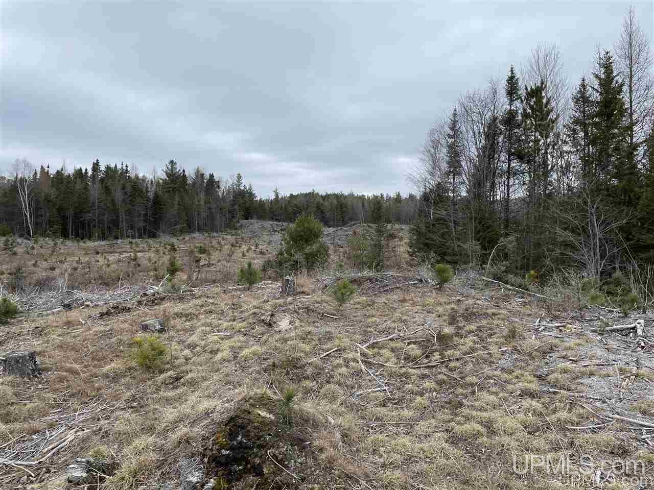 Tbd 2235 Road, Unit 2 Wetmore, MI 49895 - Photo 10 of 25