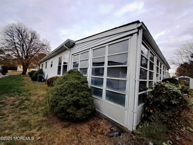 a view of a backyard with potted plants and a large tree