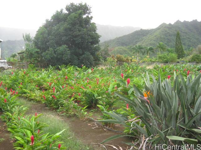 47525 Pulama Road Kaneohe, HI 96744 - Photo 1 of 1 back yard