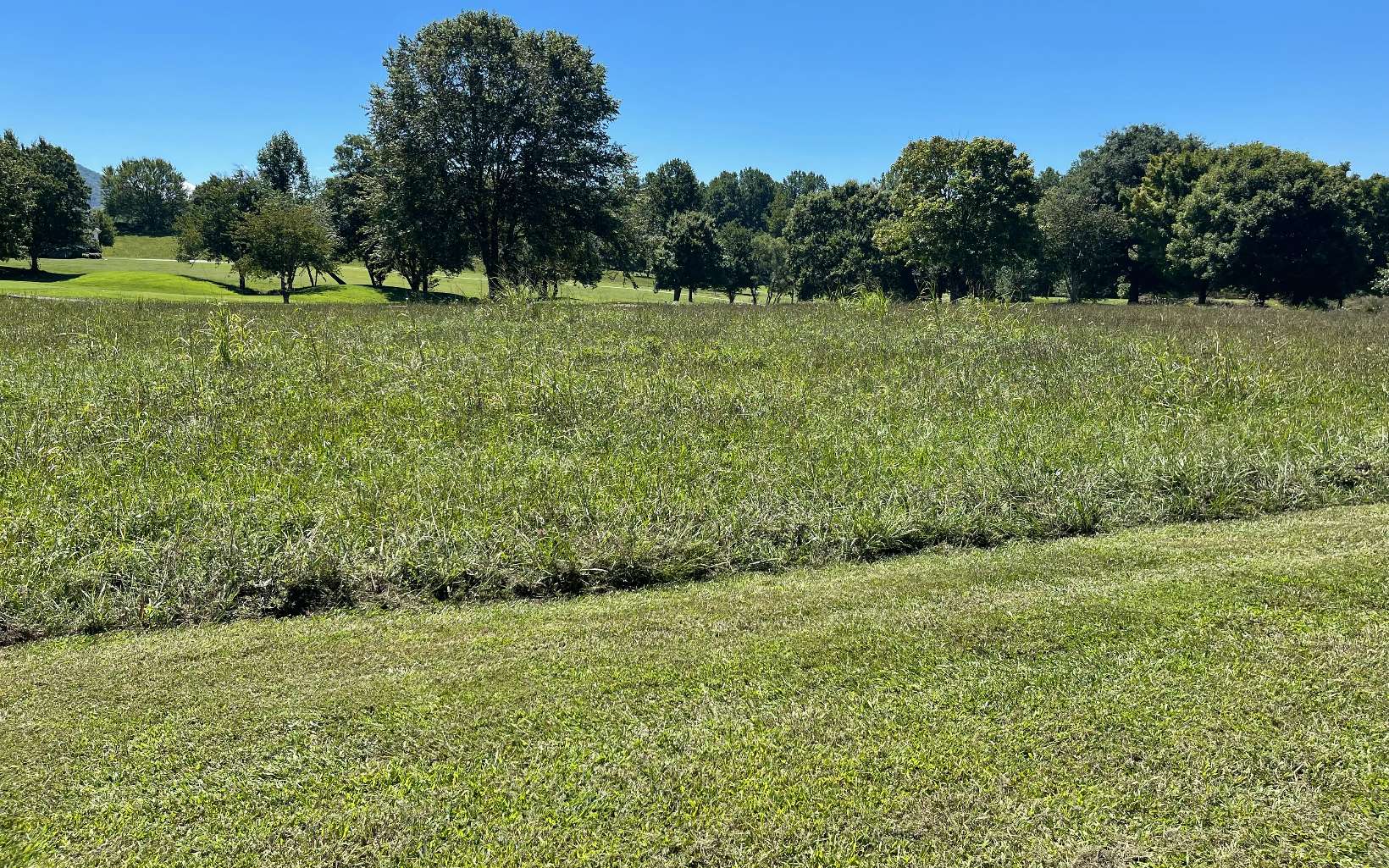 12 M Ridges Hayesville, NC 28904 - Photo 2 of 8 Additional View