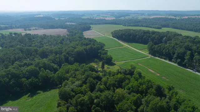 an aerial view of green landscape with trees all around