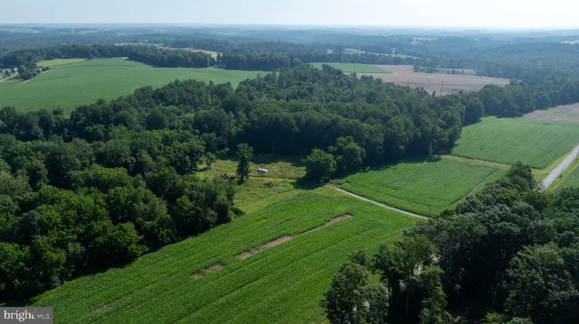 an aerial view of green landscape with trees houses and mountain view