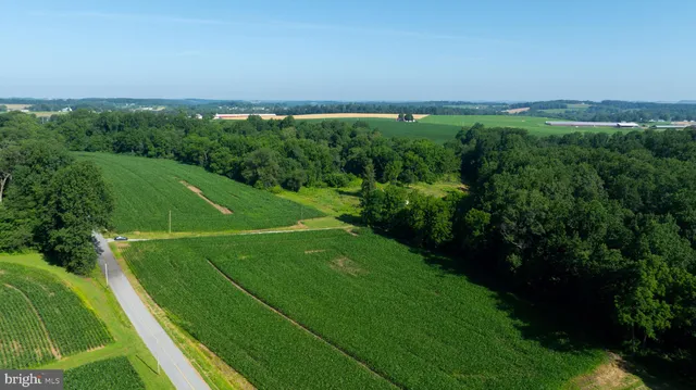 a view of a green space next to a yard