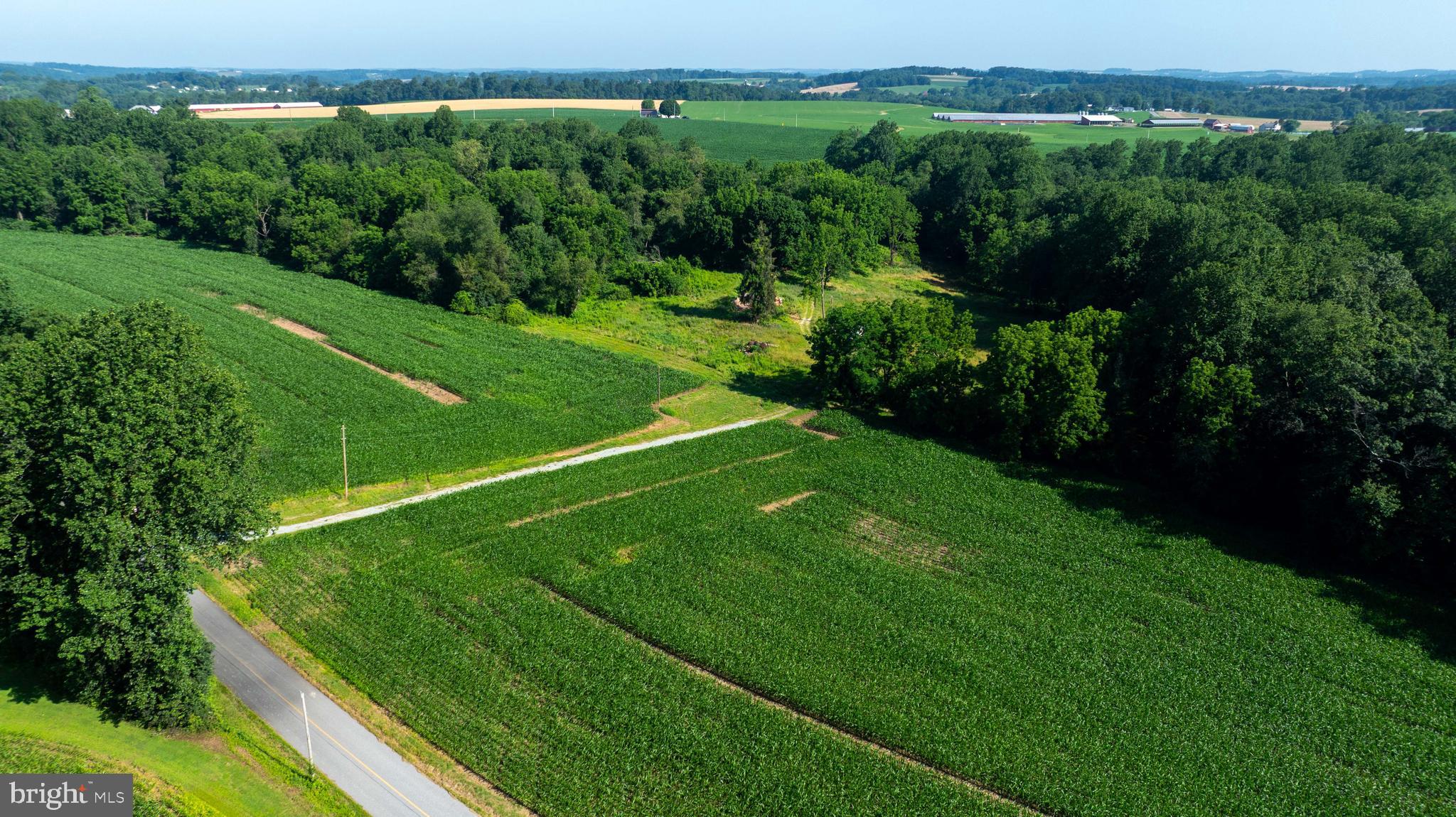 267 Cook Road Delta, PA 17314 - Photo 17 of 28 a view of a big yard with potted plants and large trees
