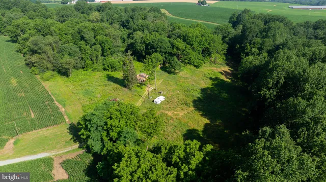 a view of a big yard with large trees