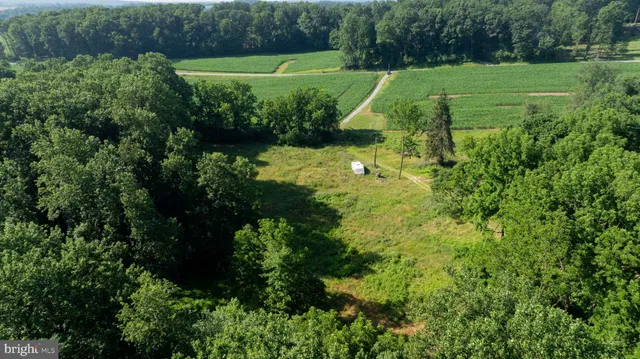 a view of a golf course with a garden