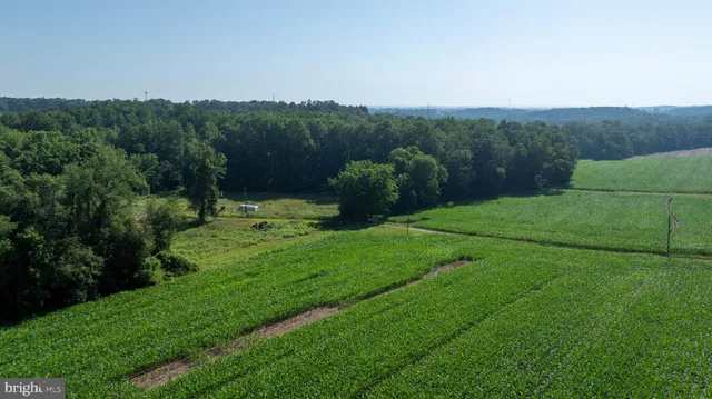 a view of an outdoor space and a yard