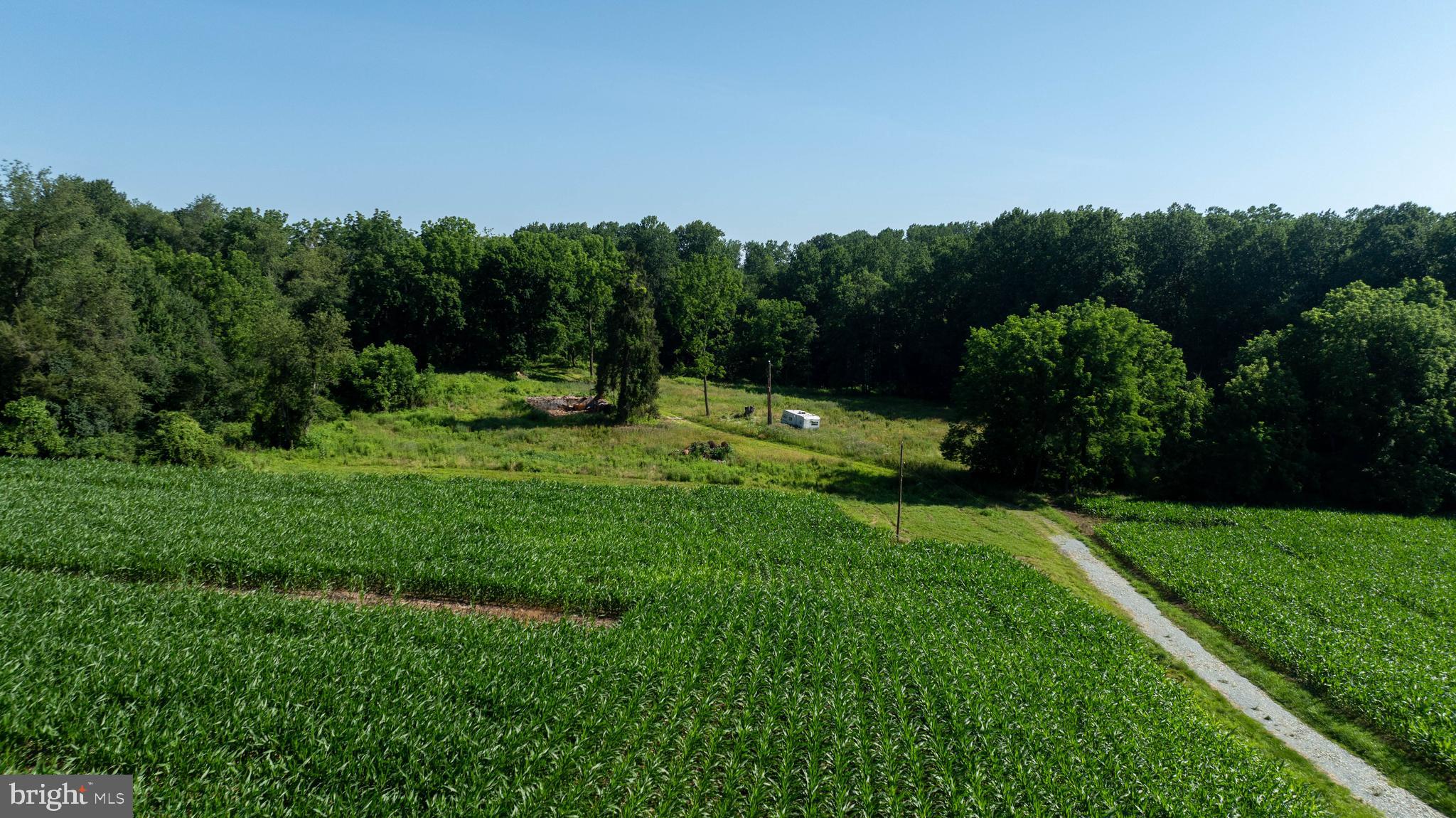 267 Cook Road Delta, PA 17314 - Photo 25 of 28 a view of a yard with a tree in the background