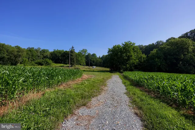 a view of a grassy field with trees in the background
