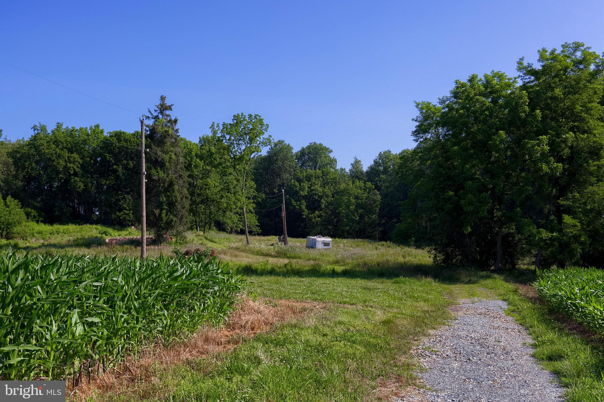 267 Cook Road Delta, PA 17314 - Photo 27 of 28 a backyard of a house with lots of green space