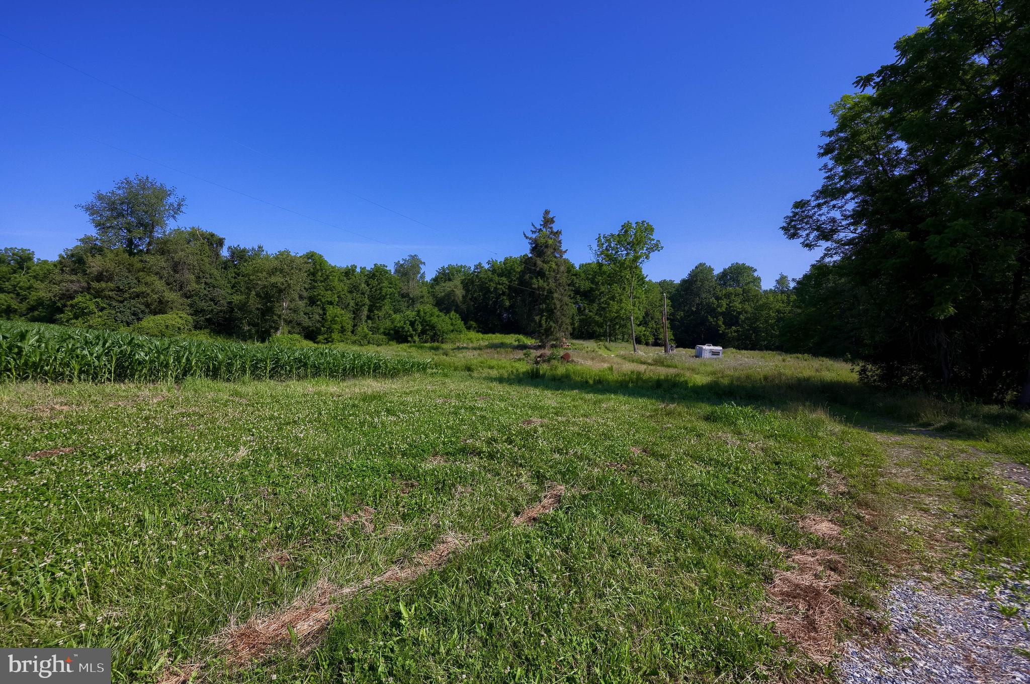 267 Cook Road Delta, PA 17314 - Photo 28 of 28 a view of a grassy field with trees in the background