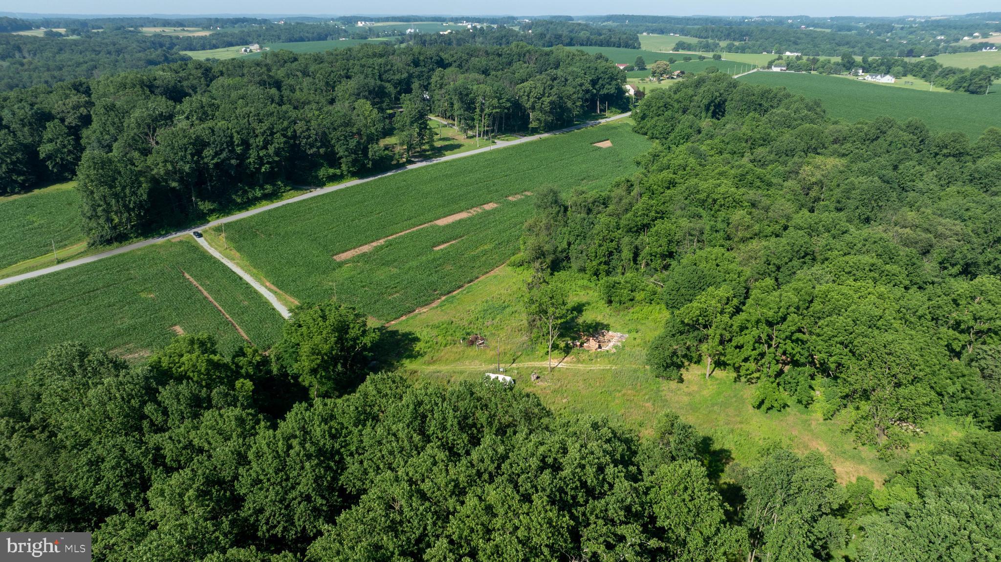 267 Cook Road Delta, PA 17314 - Photo 3 of 28 a view of a lush green forest with trees in the background