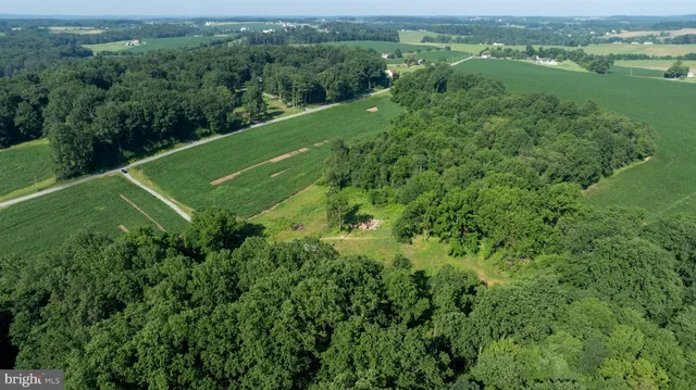 a view of a green field with lots of tall trees