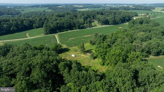 a view of a lush green field with a houses in the background