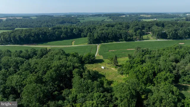 a view of a grassy field with trees