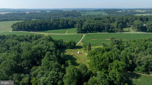a view of a field with a tree in the background