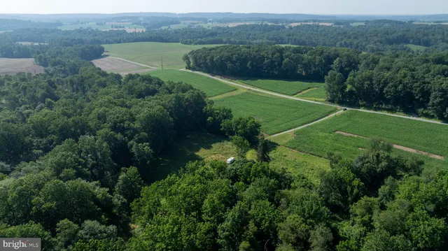 an aerial view of green landscape with trees