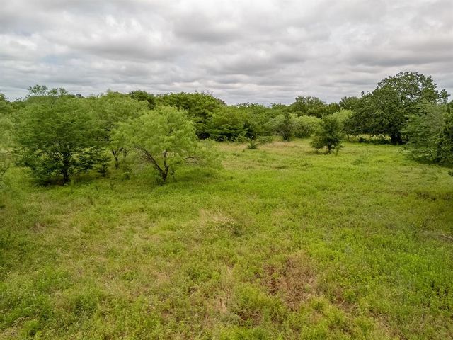a view of a green field with lots of bushes