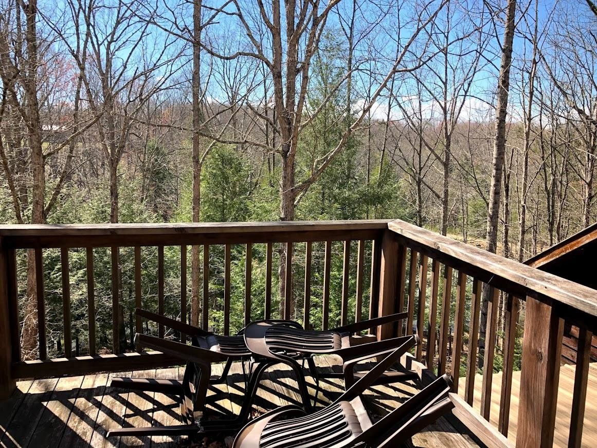 309 Billy Ridge Road Jamestown, TN 38556 - Photo 23 of 31 Gallery Image 23