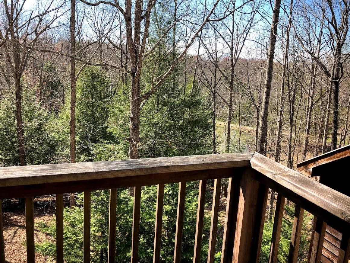 309 Billy Ridge Road Jamestown, TN 38556 - Photo 25 of 31 Gallery Image 25