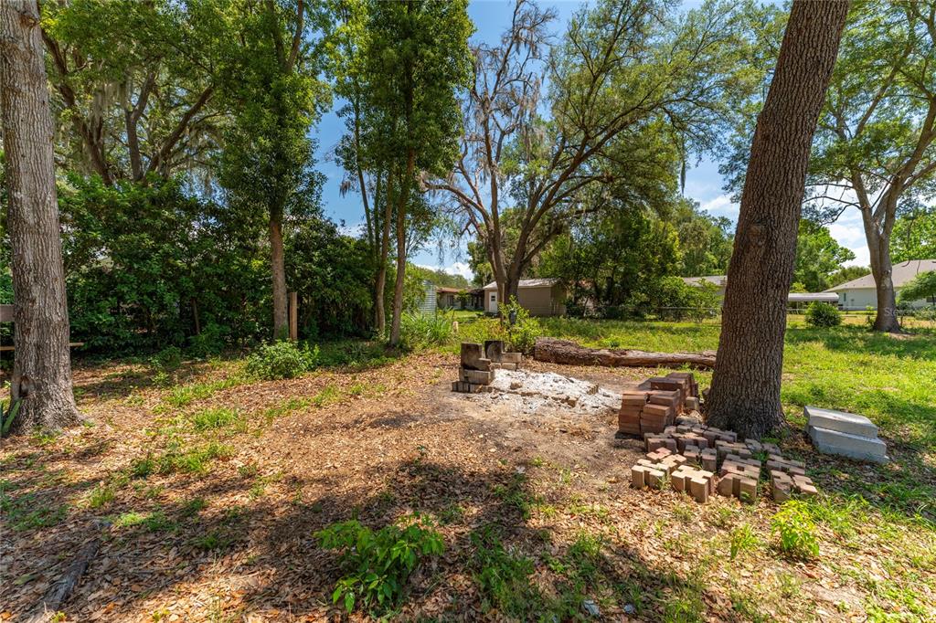 4331 Wayne Road Fruitland Park, FL 34731 - Photo 44 of 46 a view of a yard with a tree
