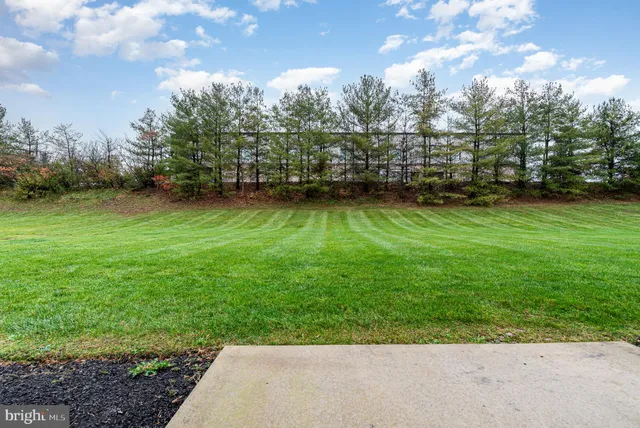 a view of yard with green space