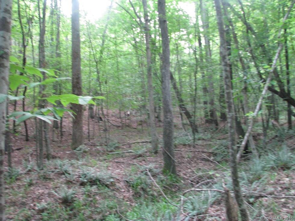1991 Lewis Store Road Blackstock, SC 29014 - Photo 2 of 16 Gallery Image 2