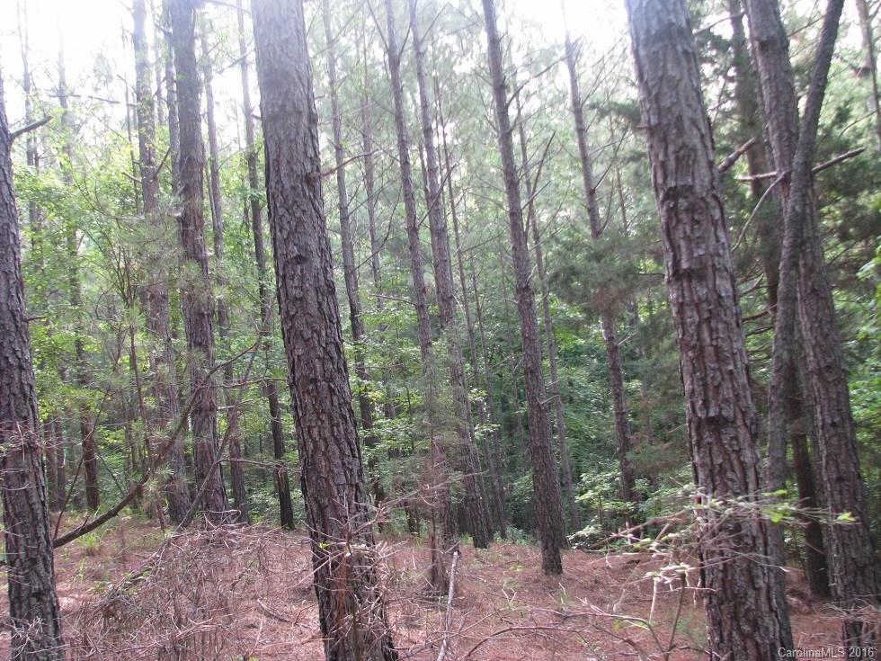 1991 Lewis Store Road Blackstock, SC 29014 - Photo 11 of 16 Gallery Image 11