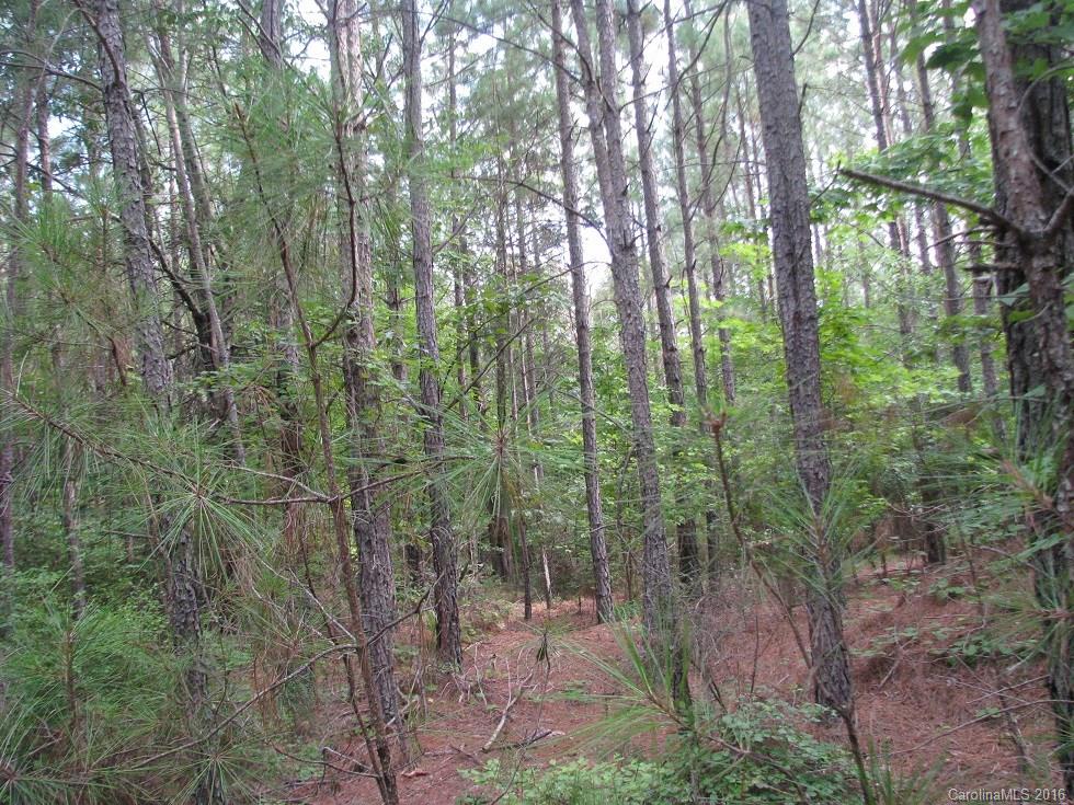 1991 Lewis Store Road Blackstock, SC 29014 - Photo 12 of 16 Gallery Image 12