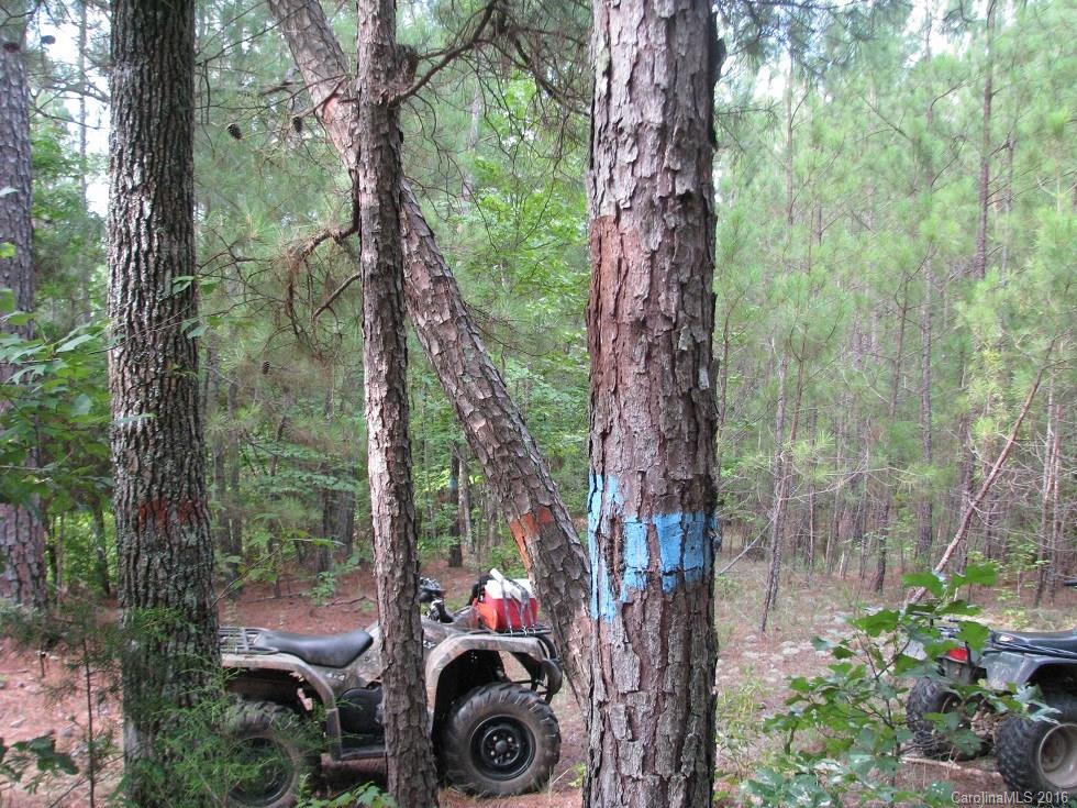 1991 Lewis Store Road Blackstock, SC 29014 - Photo 13 of 16 Gallery Image 13