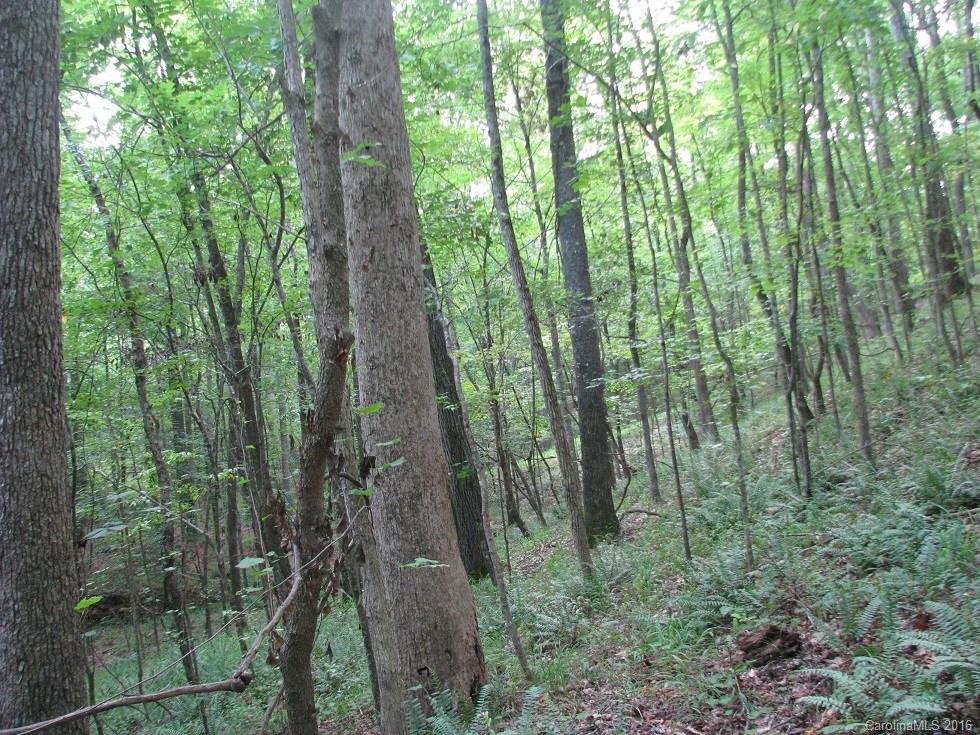 1991 Lewis Store Road Blackstock, SC 29014 - Photo 14 of 16 Gallery Image 14