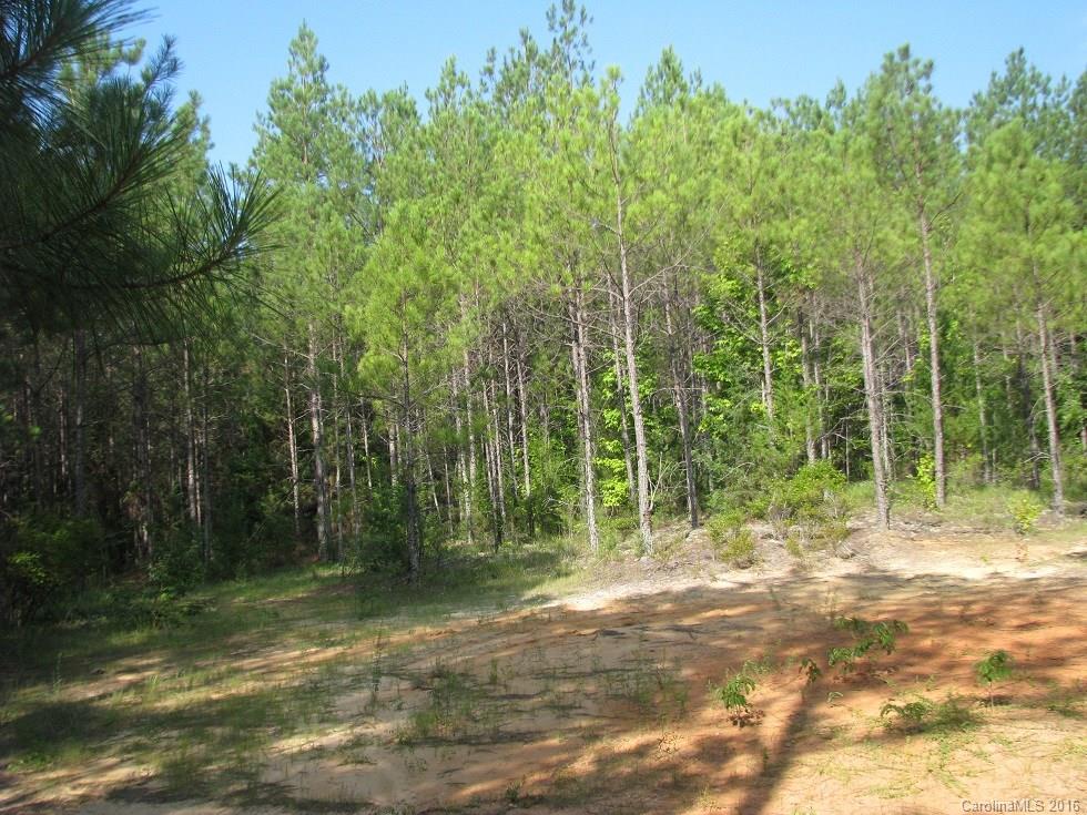 1991 Lewis Store Road Blackstock, SC 29014 - Photo 15 of 16 Gallery Image 15