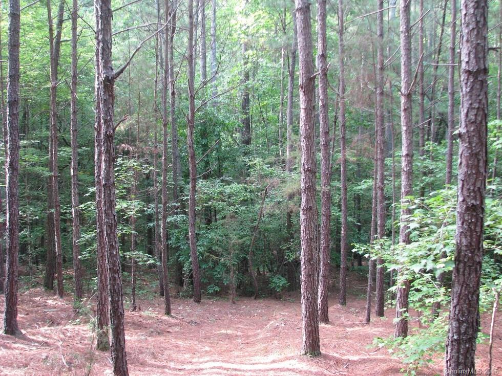 1991 Lewis Store Road Blackstock, SC 29014 - Photo 16 of 16 Gallery Image 16