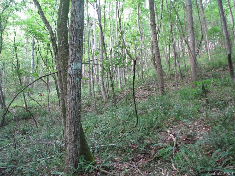 1991 Lewis Store Road Blackstock, SC 29014 - Photo 3 of 16 Gallery Image 3