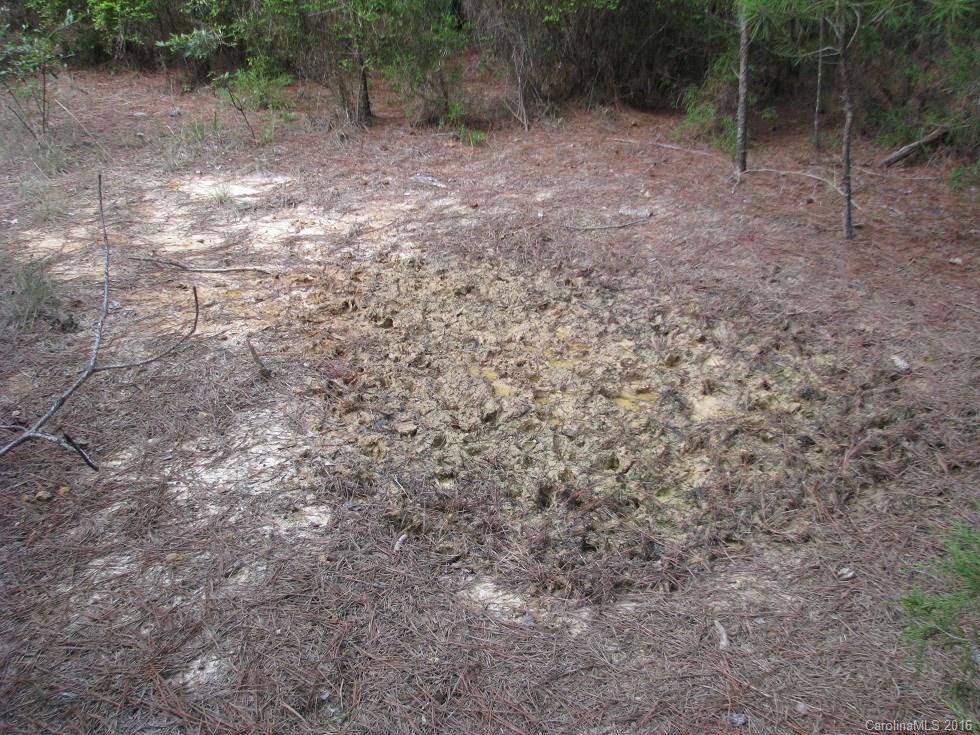 1991 Lewis Store Road Blackstock, SC 29014 - Photo 5 of 16 Gallery Image 5
