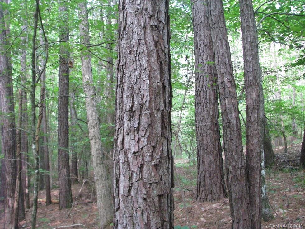 1991 Lewis Store Road Blackstock, SC 29014 - Photo 10 of 16 Gallery Image 10