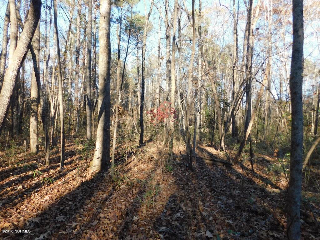 26.89 Bynum Farm Road Pinetops, NC 27864 - Photo 35 of 43 35 (1024x768)