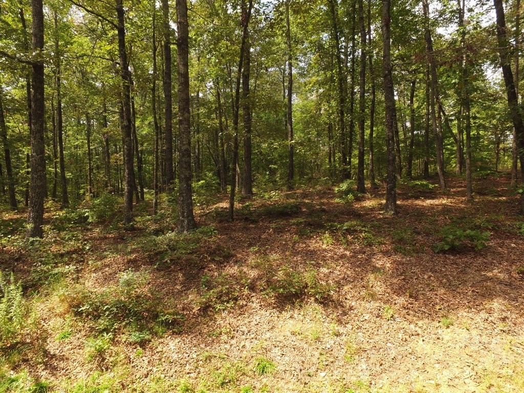 Lot S42 Sunset Rdg Way Salem, SC 29676 - Photo 22 of 34 Gallery Image 22