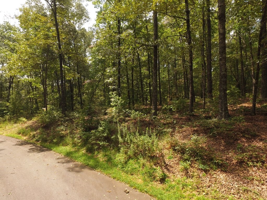 Lot S42 Sunset Rdg Way Salem, SC 29676 - Photo 23 of 34 Gallery Image 23