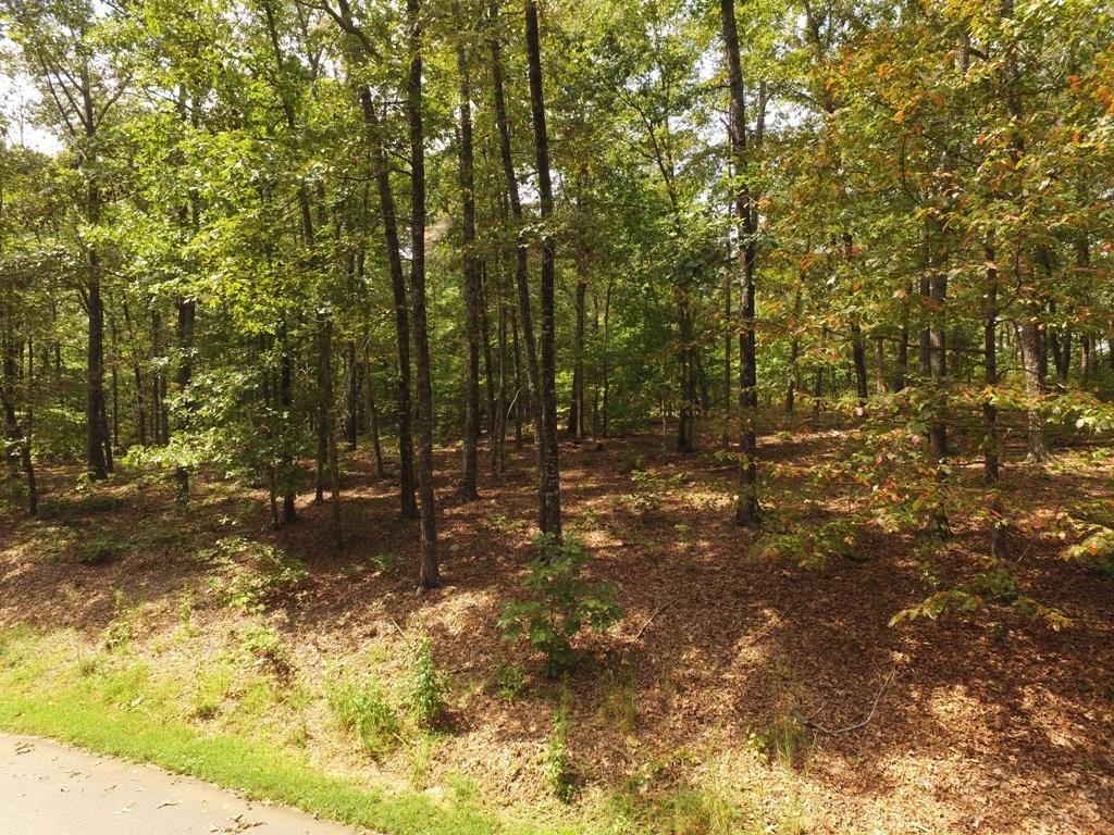 Lot S42 Sunset Rdg Way Salem, SC 29676 - Photo 24 of 34 Gallery Image 24