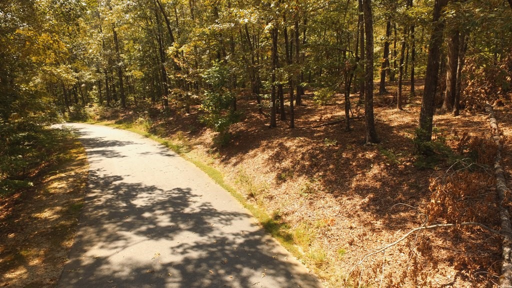 Lot S42 Sunset Rdg Way Salem, SC 29676 - Photo 25 of 34 Gallery Image 25