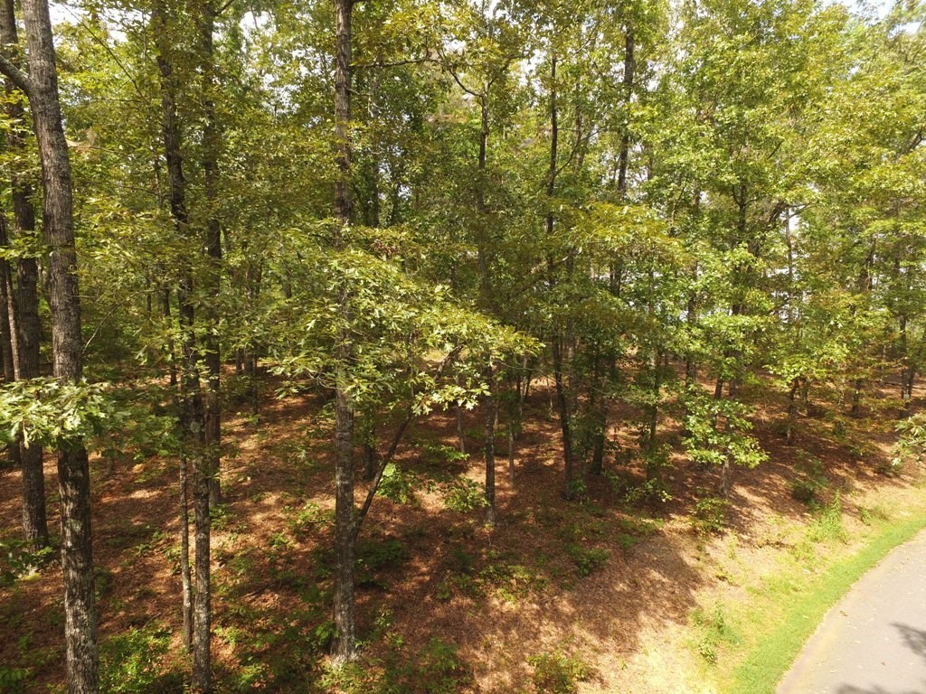 Lot S42 Sunset Rdg Way Salem, SC 29676 - Photo 3 of 34 Gallery Image 3