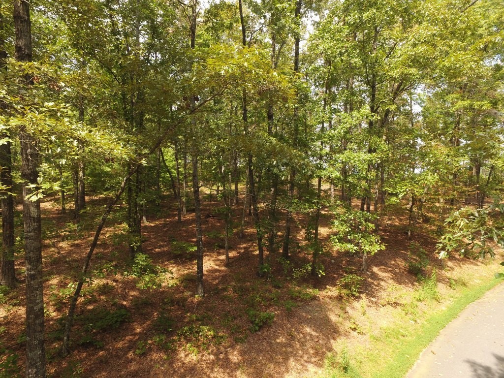 Lot S42 Sunset Rdg Way Salem, SC 29676 - Photo 4 of 34 Gallery Image 4