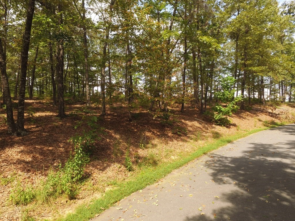 Lot S42 Sunset Rdg Way Salem, SC 29676 - Photo 5 of 34 Gallery Image 5