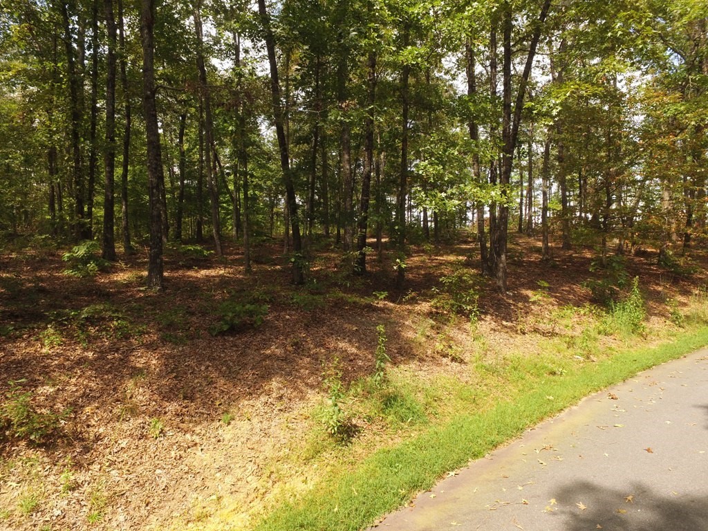 Lot S42 Sunset Rdg Way Salem, SC 29676 - Photo 6 of 34 Gallery Image 6